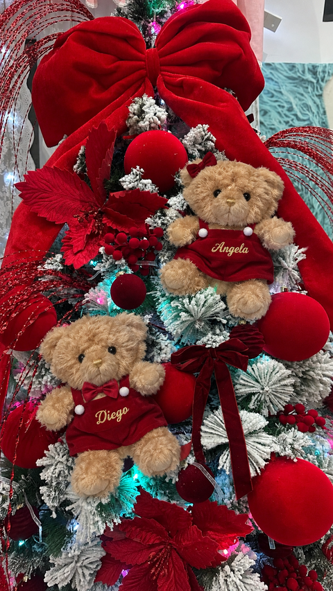 Orsetto teddy Rosso